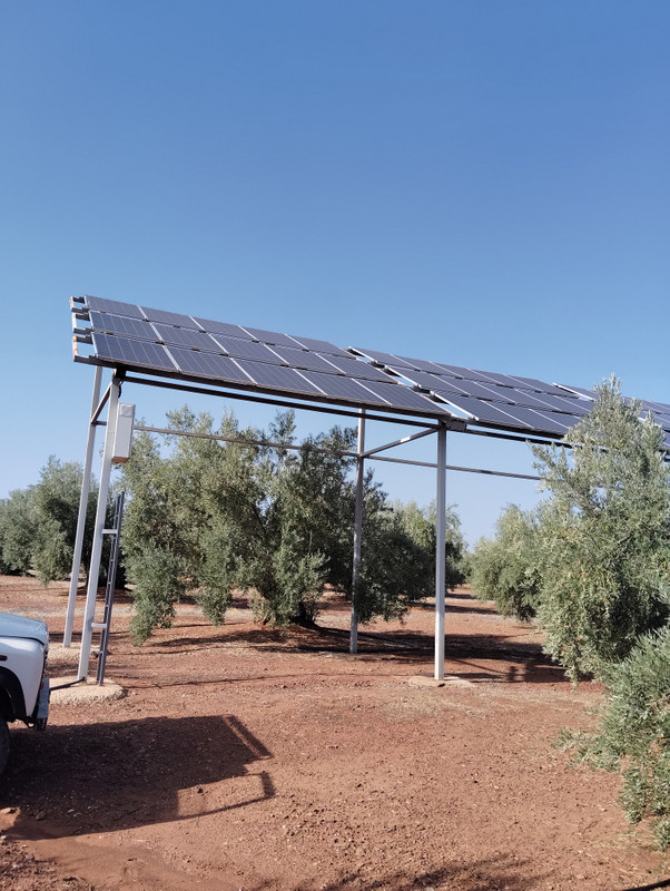 Sirve Electric S.L. 1